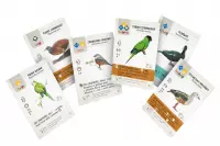 3. Na skrzydłach: Ptaki Ameryk