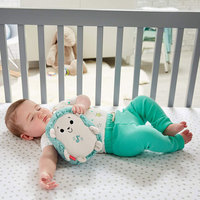 7. Fisher Price Jeż Uspokajacz z Wibracjami FXC58