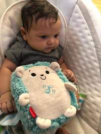 1. Fisher Price Jeż Uspokajacz z Wibracjami FXC58