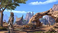 6. The Elder Scrolls Online - Elsweyr Digital Collector's Edition (PC/MAC) DIGITAL (Klucz do aktywacji online)