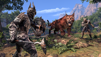 2. The Elder Scrolls Online - Elsweyr Digital Collector's Edition (PC/MAC) DIGITAL (Klucz do aktywacji online)