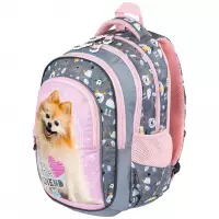 2. St.Majewski Plecak Szkolny BPL-58 Sweet Pomeranian 688614