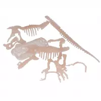 10. Mega Creative Dinozaur Fluorescencyjny Szkielet 3D 594744