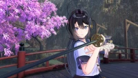 10. SAMURAI MAIDEN DELUXE EDITION (PC) (klucz STEAM)