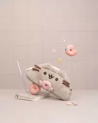 7. Piórnik Pluszowy Pusheen - Donat