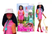 1. Mattel Barbie Brooklyn Przygody Na Łonie Natury JJV60