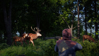 4. Medieval Dynasty (Early Access) PL (PC) (klucz STEAM)
