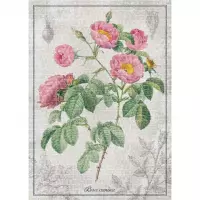 2. Interdruk Puzzle 1000 el Botanic Rose 384935