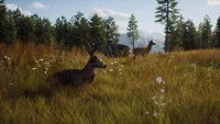 1. Way of the Hunter PL (PS5)