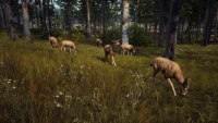 2. Way of the Hunter PL (PS5)