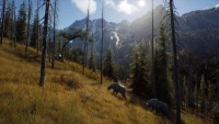 3. Way of the Hunter PL (PS5)