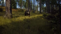 5. Way of the Hunter PL (PS5)