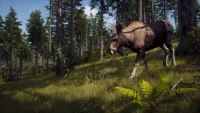 6. Way of the Hunter PL (PS5)