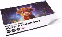 2. Starpak Blok Rysunkowy Football A4 20 kartek Biały Krówka 587743
