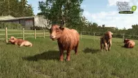 4. Farming Simulator 25: Highlands Fishing Edition PL (PC)