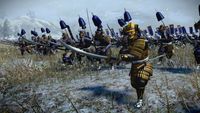 2. Total War: Shogun 2 - Saints and Heroes Pack DLC (PC) DIGITAL (klucz STEAM)