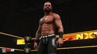 17. WWE 2K19 Rising Stars Pack (PC) DIGITAL (klucz STEAM)
