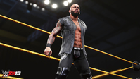 16. WWE 2K19 Rising Stars Pack (PC) DIGITAL (klucz STEAM)