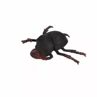 3. Mega Creative Zwierżęta Insekty 574075