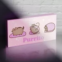 3. Podświetlany Obraz na Płótnie Pusheen - Purrito