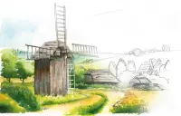 15. Meadow (wyd. angielskie)