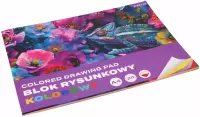 2. Blok Rysunkowy Kolorowy A4 20 kartek Kameleon 587749