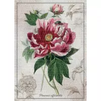 3. Interdruk Puzzle 1000 el. Botanic Peony 384959