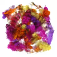 2. Craft With Fun Ozdoba Dekoracyjna Kolorowe Piórka Cętki 545788