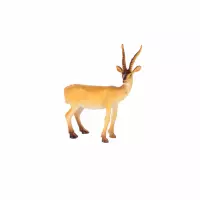 6. Mega Creative Zwierzęta Dzikie Figurki 6 szt.570094