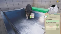 10. Animal Shelter - Vet Clinic PL (DLC) (PC) (klucz STEAM)