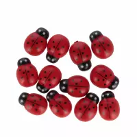 2. Craft With Fun Ozdoba Dekoracyjna Drewniana Biedronki 567316