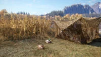 7. theHunter: Call of the Wild™ - Duck and Cover Pack PL (DLC) (PC) (klucz STEAM)