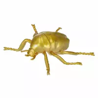 4. Mega Creative Zwierzęta Owady 572100