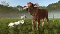 5. Farming Simulator 25: Beans & Alpacas Edition PL (PC)