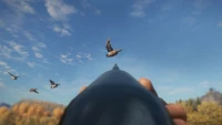 10. theHunter: Call of the Wild™ - Duck and Cover Pack PL (DLC) (PC) (klucz STEAM)