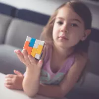 5. Smart Games Plug & Play Puzzler (Gift Box)