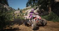 6. MX vs ATV Legends PL (XO/XSX)